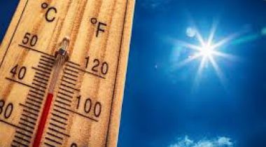 Nos conseils en cas de canicule