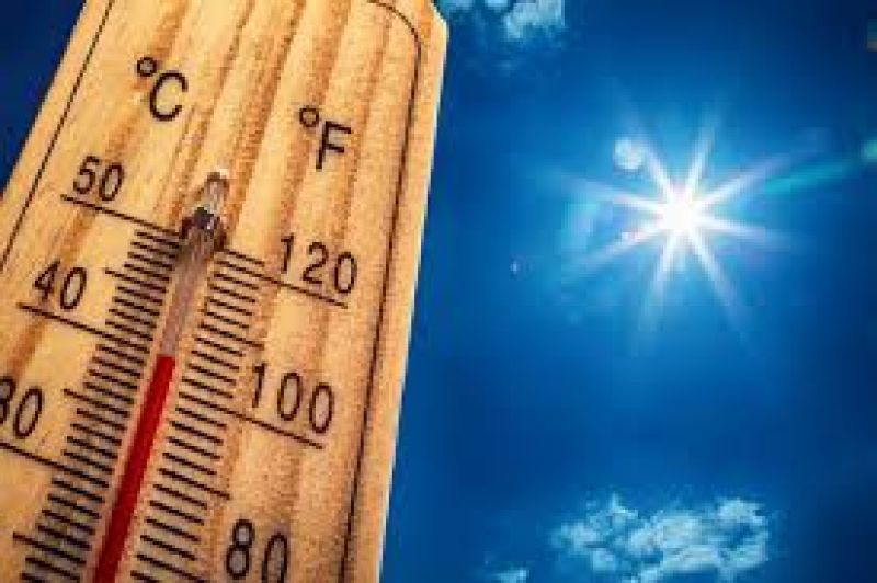 Nos conseils en cas de canicule
