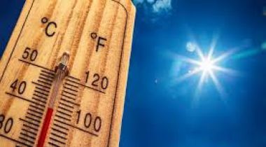 Nos conseils en cas de canicule
